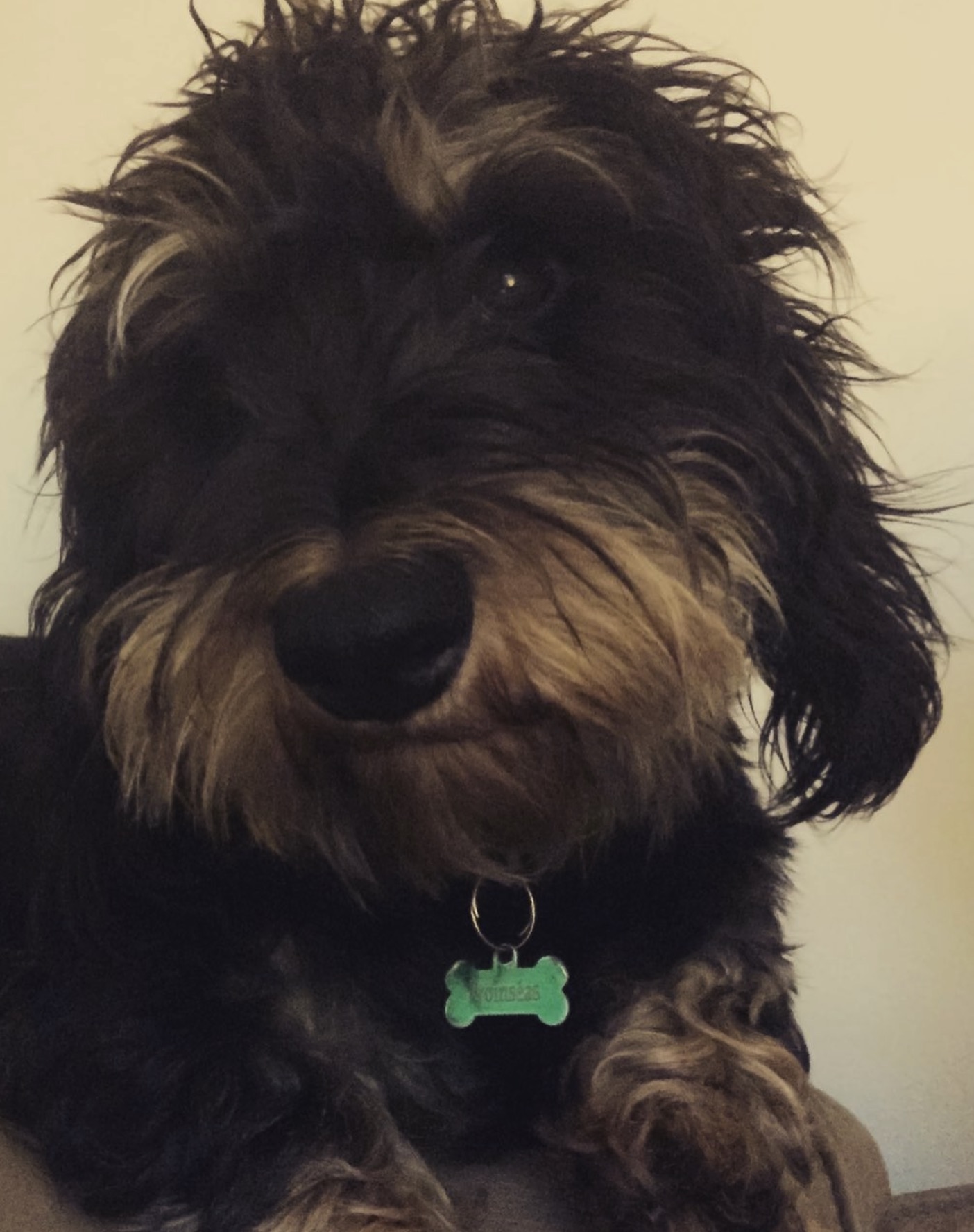 Lamabuild team members working indoors during construction phase